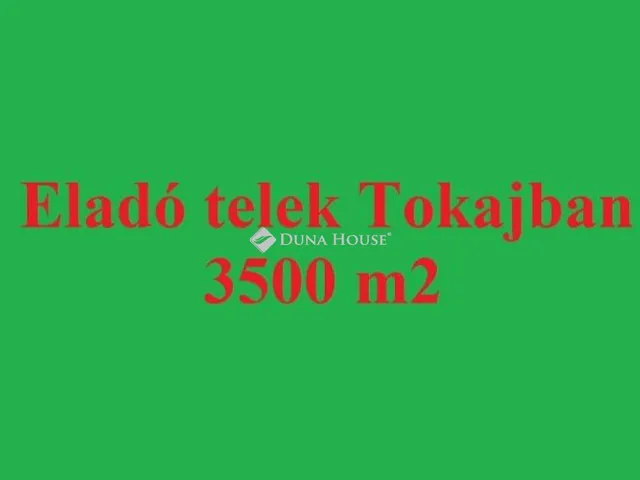 Eladó telek Tokaj 3501 nm
