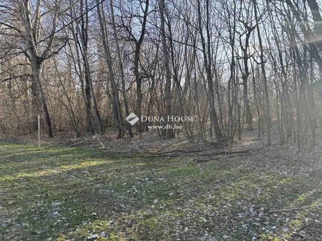 Eladó mezőgazdasági ingatlan Tiszatelek 9436 nm