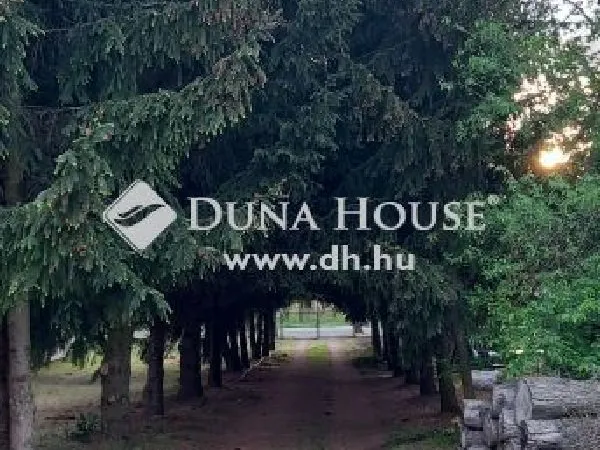 Eladó telek Nagyhalász 3170 nm