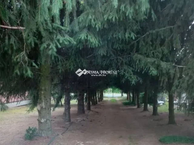 Eladó telek Nagyhalász 3170 nm