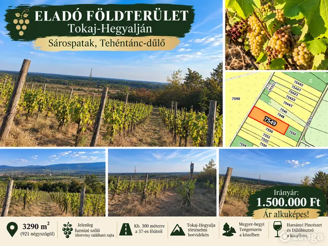 Eladó mezőgazdasági ingatlan Sárospatak, Végardó 3290 nm