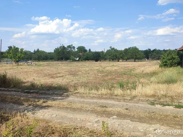 Eladó mezőgazdasági ingatlan Békés, Szécsénykert 1460 nm