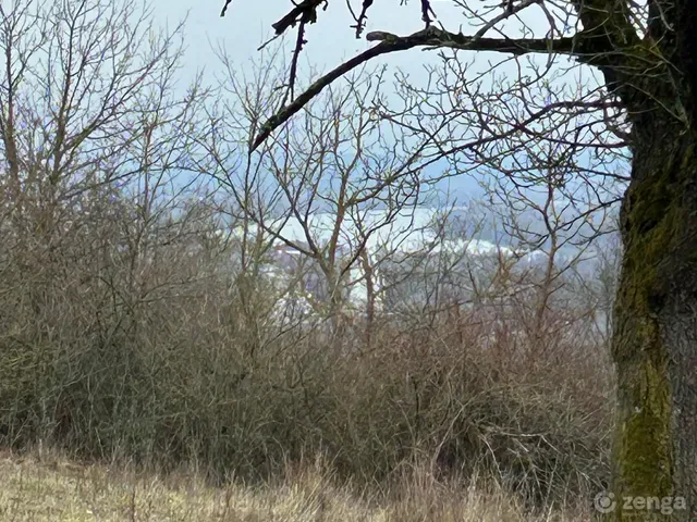 Eladó telek Vác, Nyulas 2340 nm