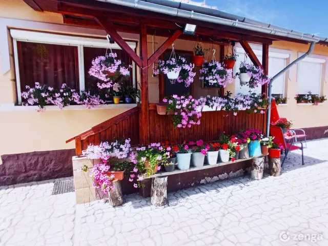 Eladó ház Vácszentlászló 180 nm