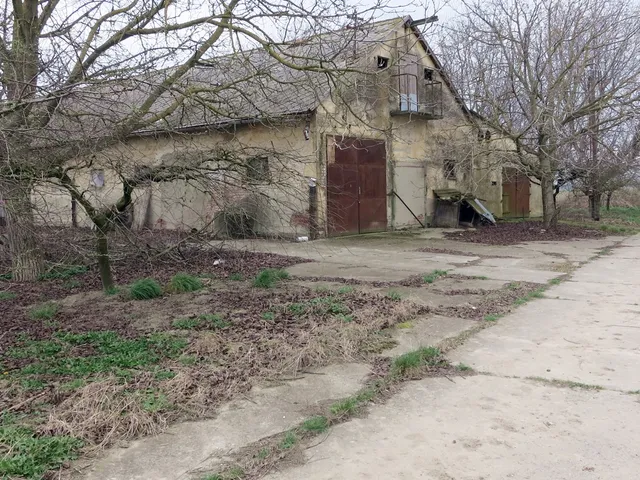 Eladó mezőgazdasági ingatlan Nagybaracska, 5107 540 nm