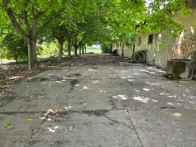Eladó mezőgazdasági ingatlan Nagybaracska, 5107 540 nm