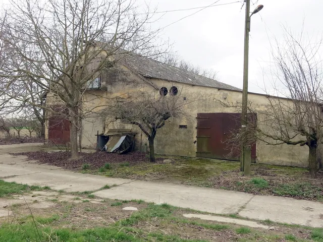 Eladó mezőgazdasági ingatlan Nagybaracska 540 nm