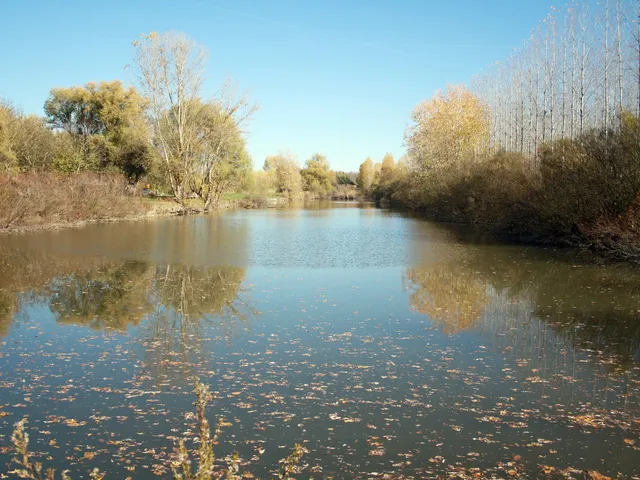 Eladó mezőgazdasági ingatlan Hajós, Külterület 200 nm