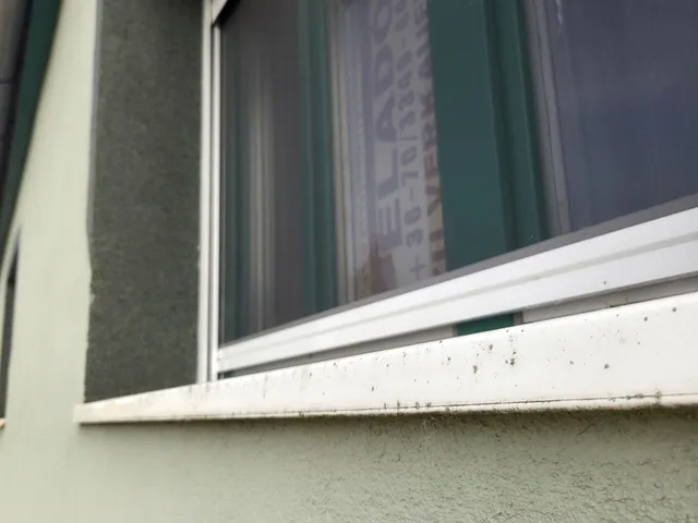 Eladó ház Csátalja, Táncsics Mihály utca 2 100 nm