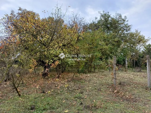 Eladó telek Szigetcsép 1066 nm