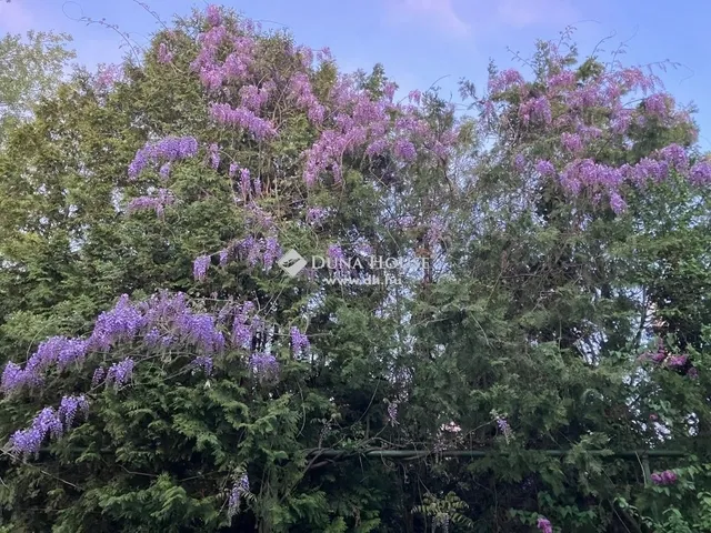 Eladó üdülő és hétvégi ház Ráckeve 40 nm