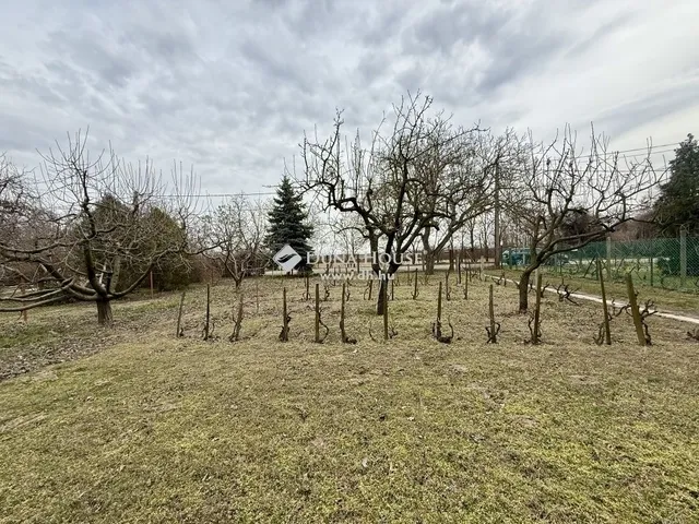 Eladó ház Szigetújfalu 30 nm