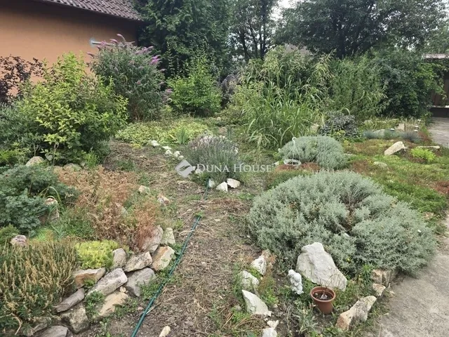 Eladó ház Délegyháza 606 nm