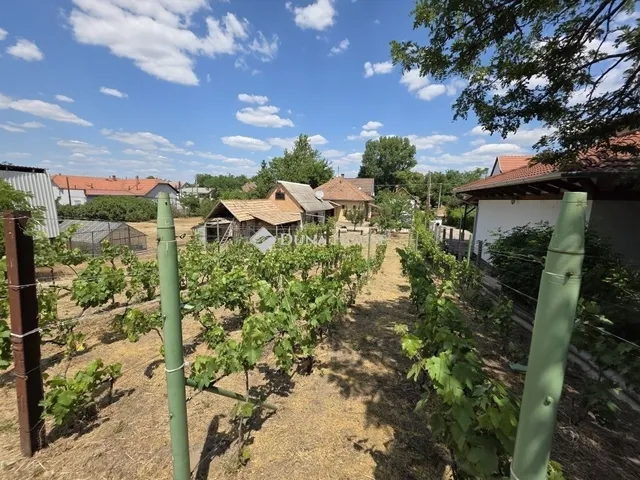 Eladó ház Dunavarsány 70 nm