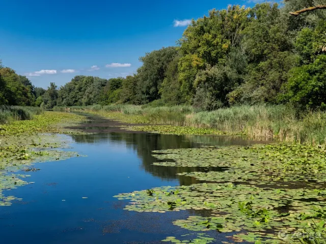 Eladó üdülő és hétvégi ház Hercegszántó 60 nm