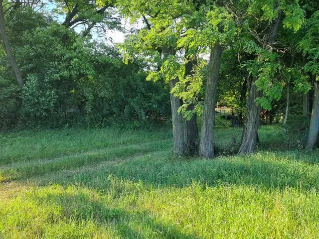 Eladó telek Budakalász 3400 nm