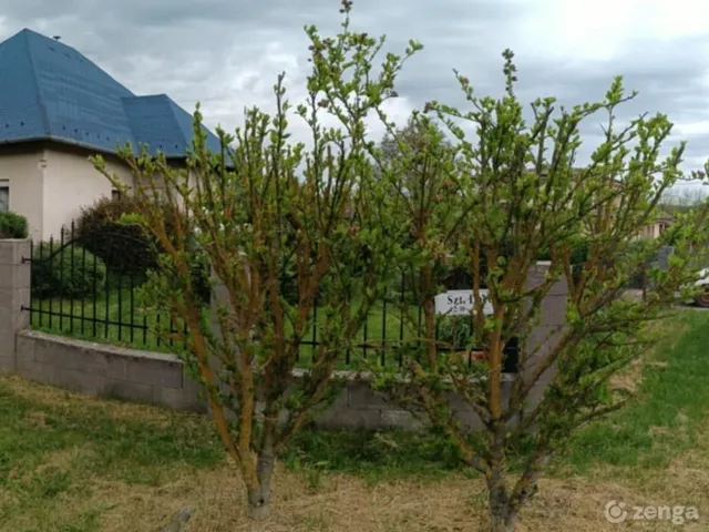 Eladó ház Gyömrő, Erzsébettelep 126 nm