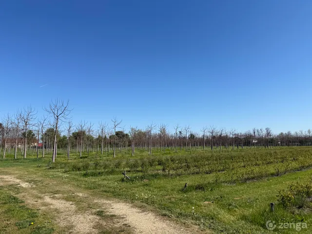 Eladó mezőgazdasági ingatlan Vaja 490000 nm