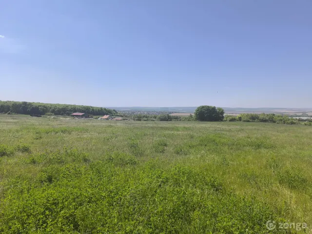 Eladó mezőgazdasági ingatlan Páty 11844 nm