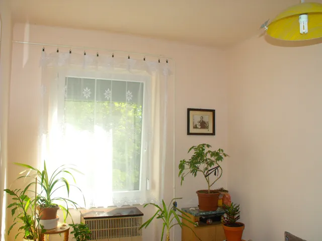 Kiadó lakás Pécs, Ispitaalja 52 nm