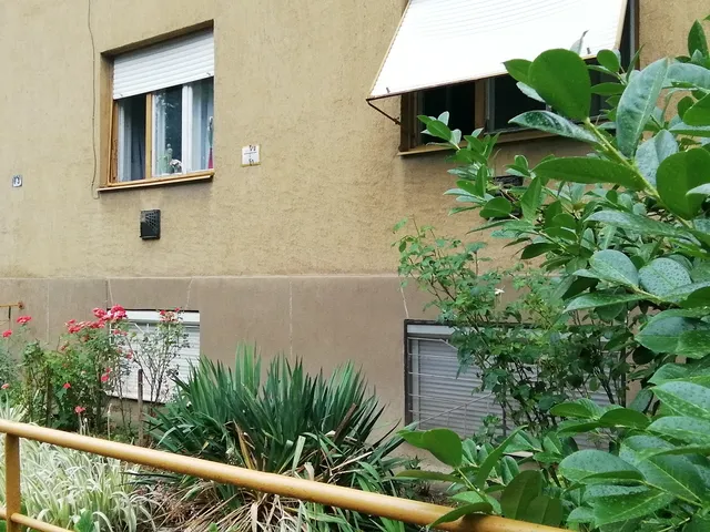 Kiadó lakás Pécs, Belváros 40 nm