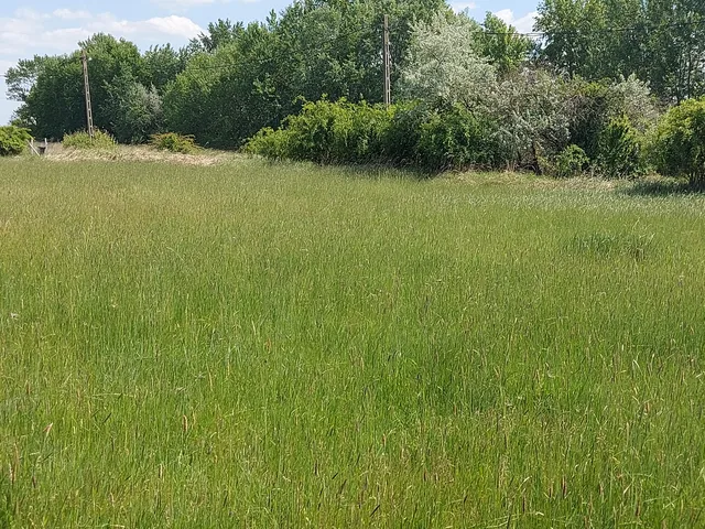 Eladó telek Abádszalók 590 nm