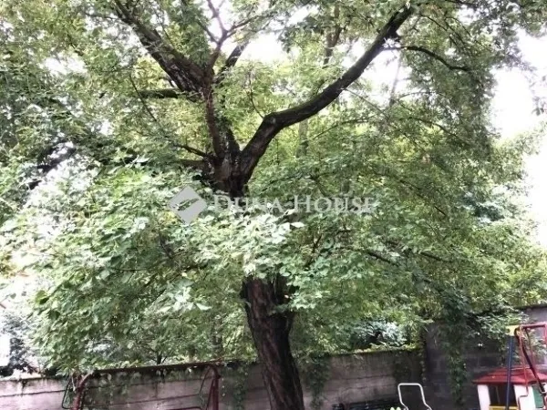 Eladó lakás Budapest XIII. kerület, Angyalföld 91 nm