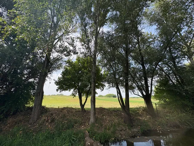 Eladó telek Őrbottyán 1000 nm