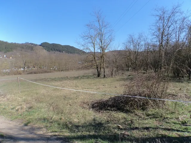 Eladó mezőgazdasági ingatlan Piliscsaba 2115 nm