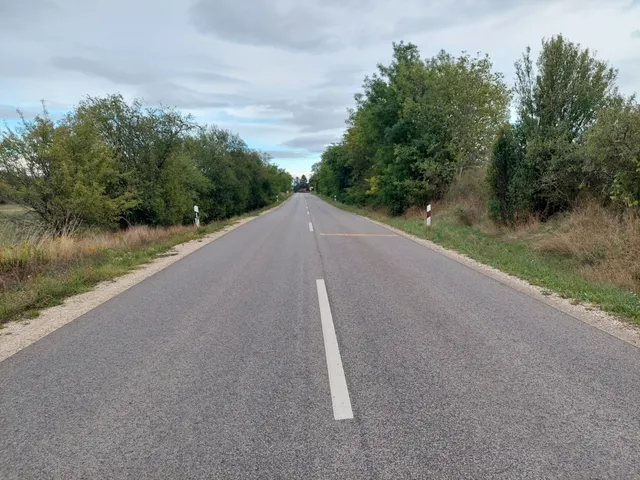 Eladó mezőgazdasági ingatlan Gomba 180896 nm