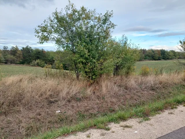 Eladó mezőgazdasági ingatlan Gomba 180896 nm