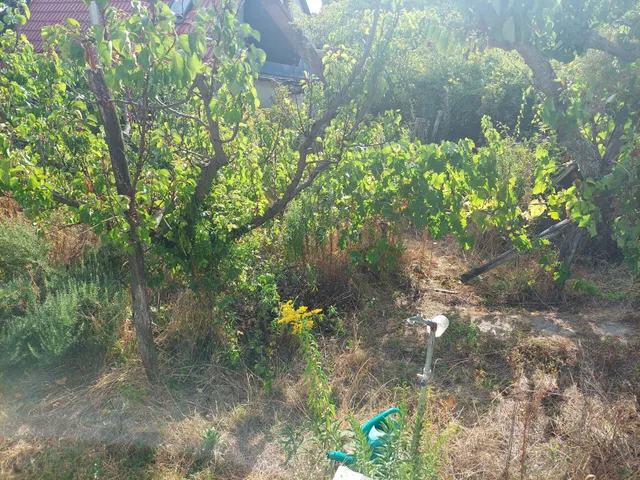 Eladó telek Budaörs 1146 nm