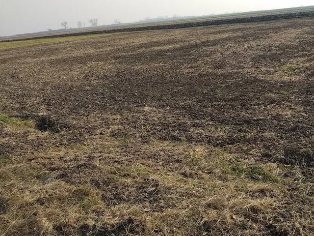 Eladó telek Visznek 1309 nm