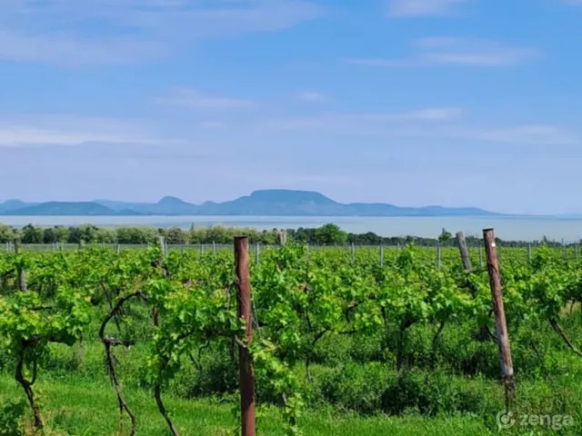 Eladó telek Balatonberény 3770 nm