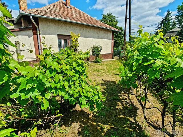 Eladó ház Jászfényszaru 84 nm