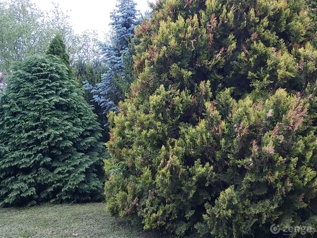 Eladó telek Nyíregyháza 3300 nm