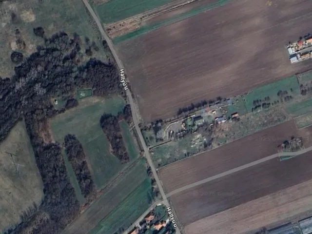 Eladó mezőgazdasági ingatlan Érd 1000 nm