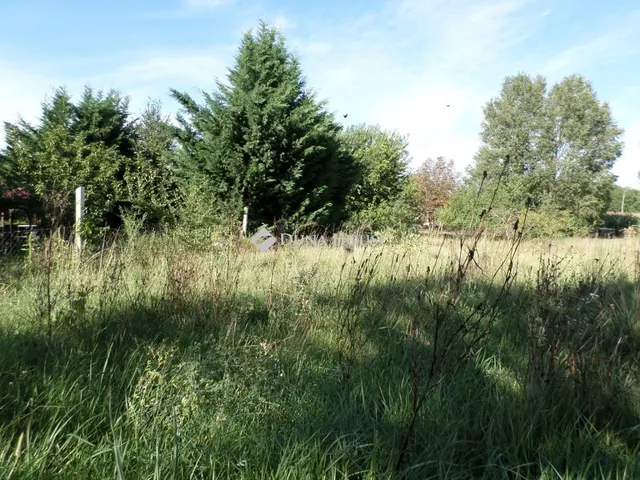 Eladó telek Kecskemét, Vacsihegy 4593 nm