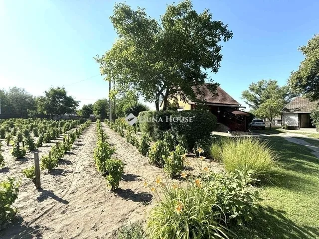 Eladó ház Kecskemét, Kisfái 80 nm