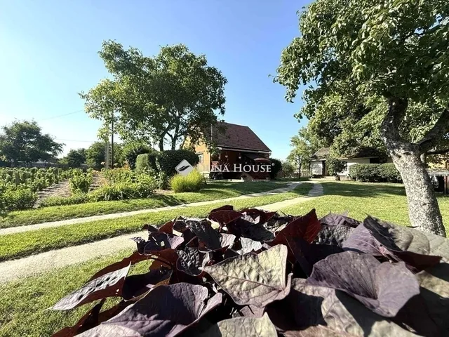 Eladó ház Kecskemét, Kisfái 80 nm