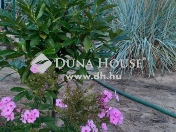 Eladó ház Kecskemét, Felsőszéktó 94 nm