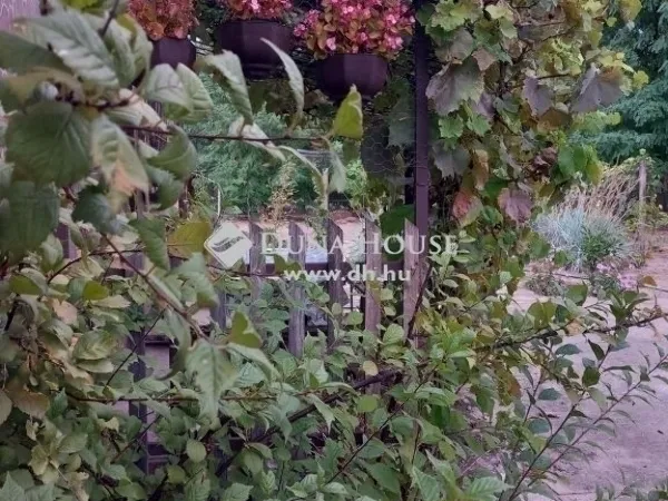 Eladó ház Kecskemét, Felsőszéktó 94 nm