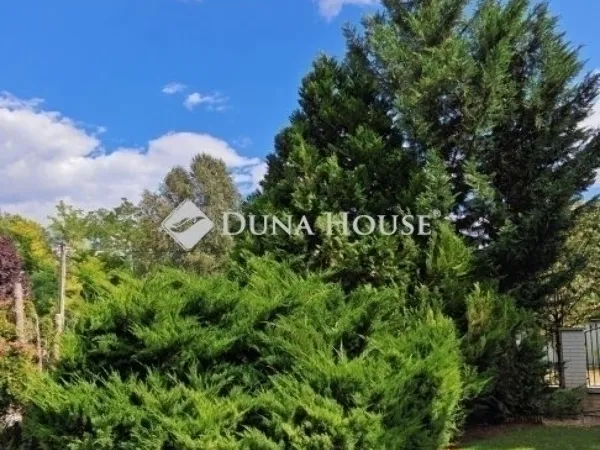 Eladó ház Kecskemét 151 nm