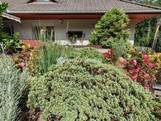 Eladó ház Kecskemét, Vacsihegy 151 nm