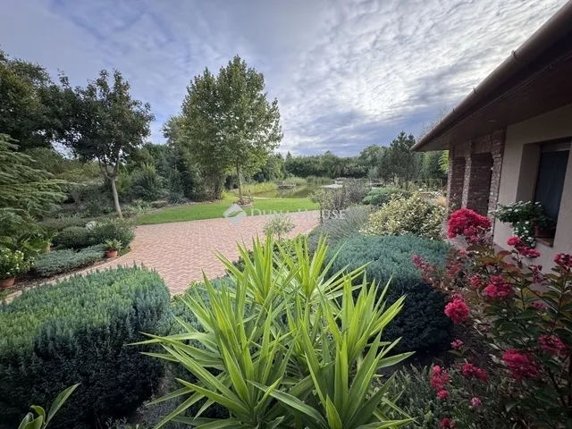 Eladó ház Kecskemét 300 nm