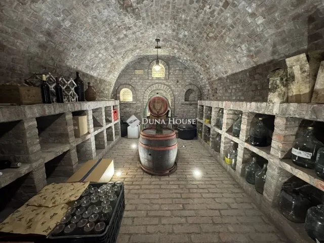 Eladó ház Kecskemét 300 nm