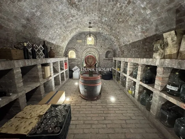 Eladó ház Kecskemét 300 nm