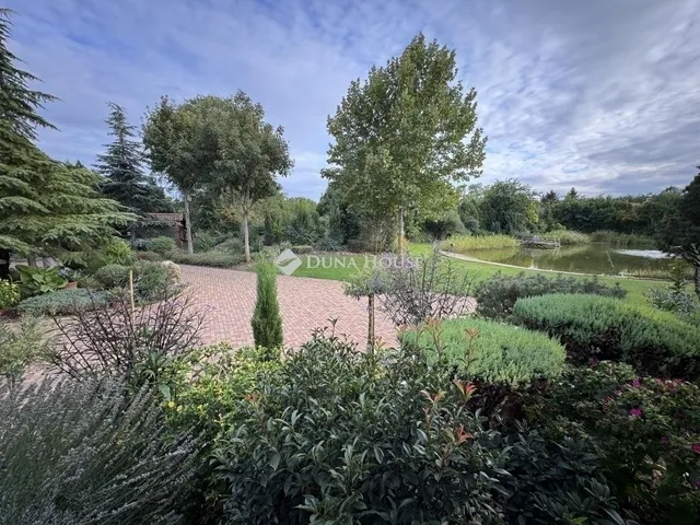 Eladó ház Kecskemét 300 nm