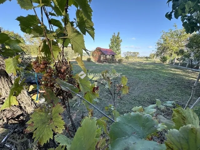 Eladó mezőgazdasági ingatlan Szentkirály 70 nm