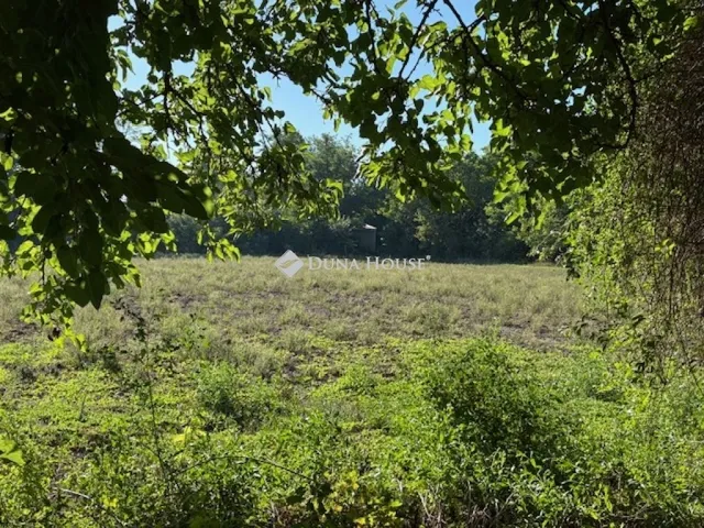 Eladó telek Kecskemét 4081 nm